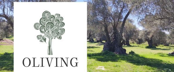 Oliving in Crete