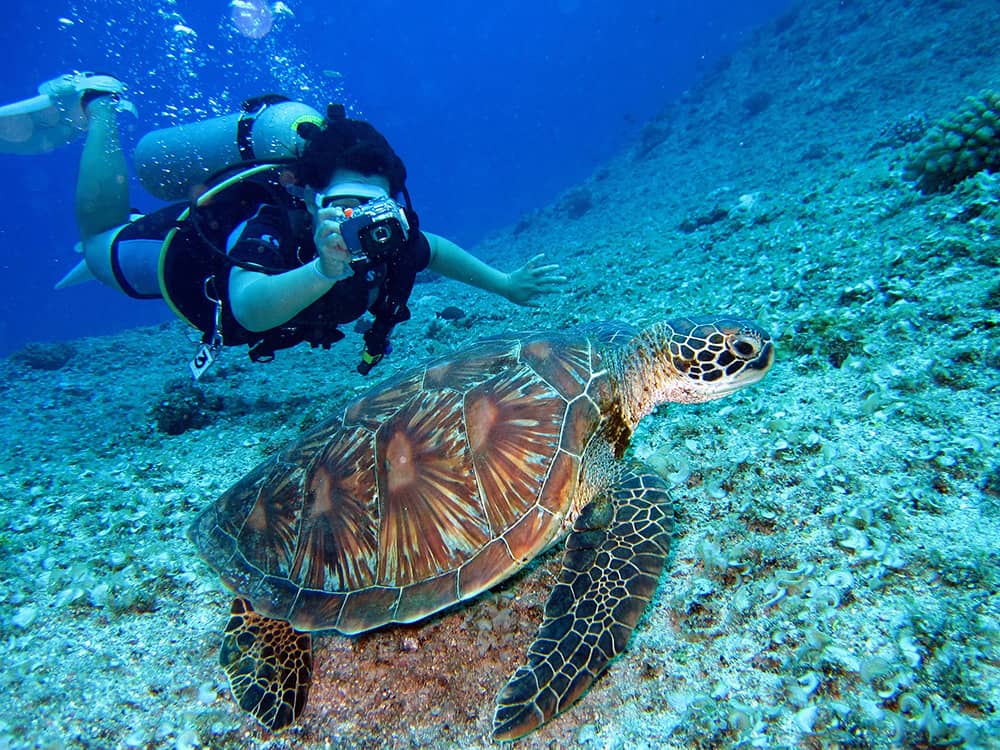 Snorkeling στην Κρήτη