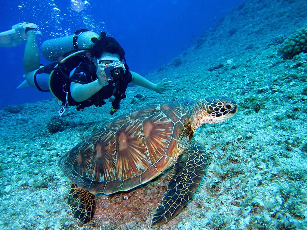 Snorkeling στην Κρήτη