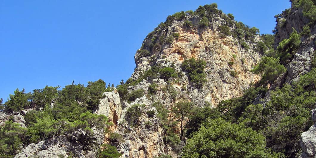 Zaros-Vorizia Pine Forest
