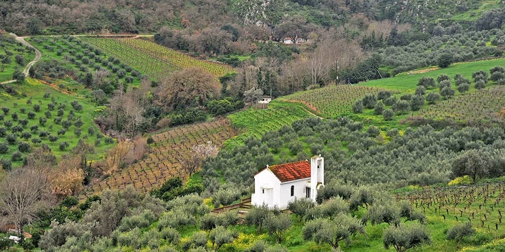 Peza wine making area at Crete